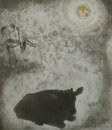 笹沼　恭欣　Takayoshi SASANUMA　　　はるか