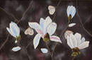 高木　ユリア　　Magnolia