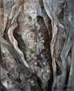 橋本　富美　　古代譜