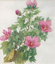 大柿　圭子　　芙蓉