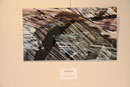 Carola Thiede　　(ドイツ)　auto camouflage“Fotografie