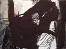 Erika Fiedler　　(オランダ)　NETWORK