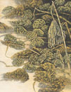 北村 康郎 KITAMURA 宴