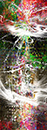 國井一色　KUNII  HIDEKAZU / Dance.dance