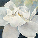 吉居幸子　YOSHII YUKIKO ／花