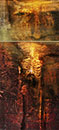 Veerle Rooms ／ Face in Landscape III
