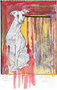 Chris Verheyen ／ VIVA ESPANA
