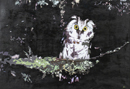 井川 浩 / キンメフクロウの夜Ⅲ