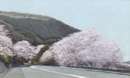 渡部 正廣 / 桜の咲く道