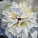 吉居幸子　　　花