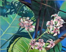 Angelika MariaDeinhardt Cashew Blossoms