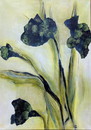 Sibylle KarolaMoeller GREEN PLANTS ANDTREES FOR THEWORLD